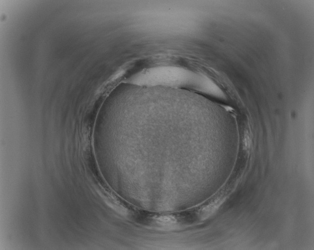 X0000062130409200512161157