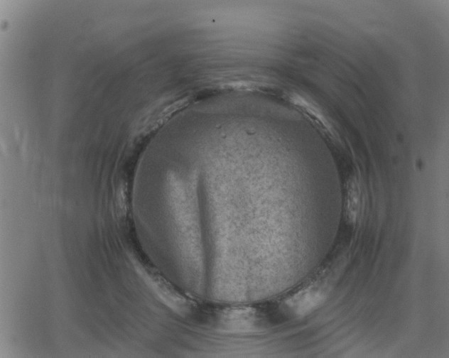 X0000062130410200512161157