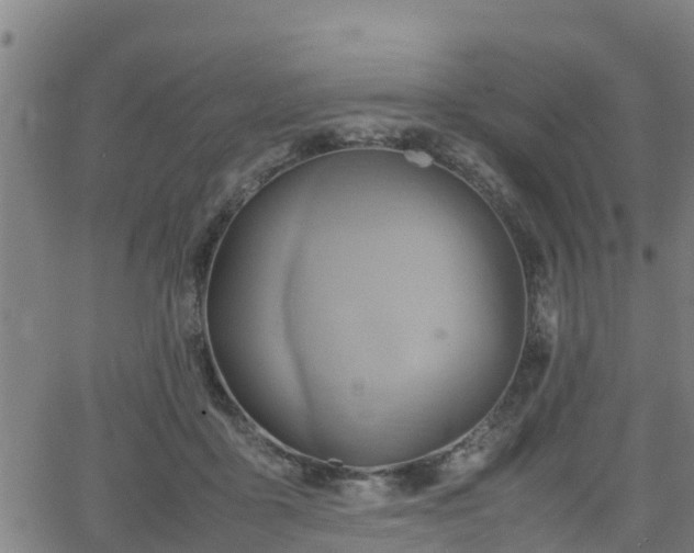 X0000062130411200512161157