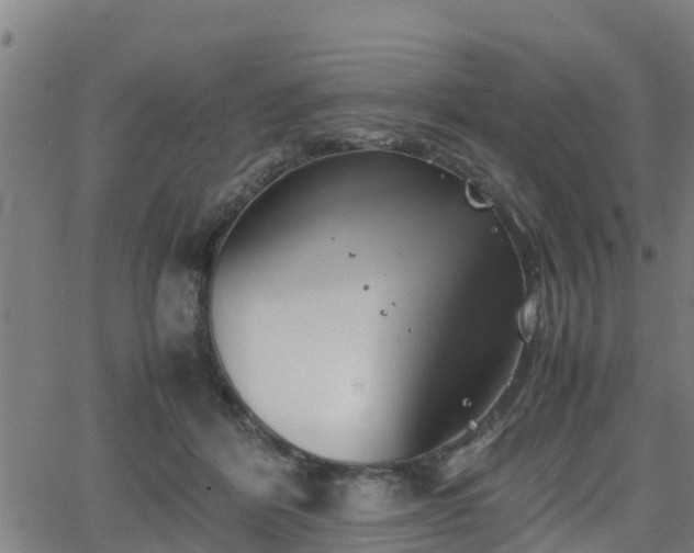 X0000062130412200512161157