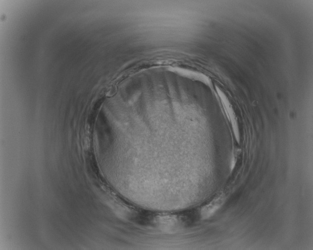 X0000062130413200512161157