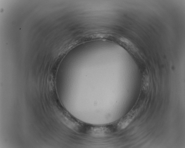 X0000062130414200512161157