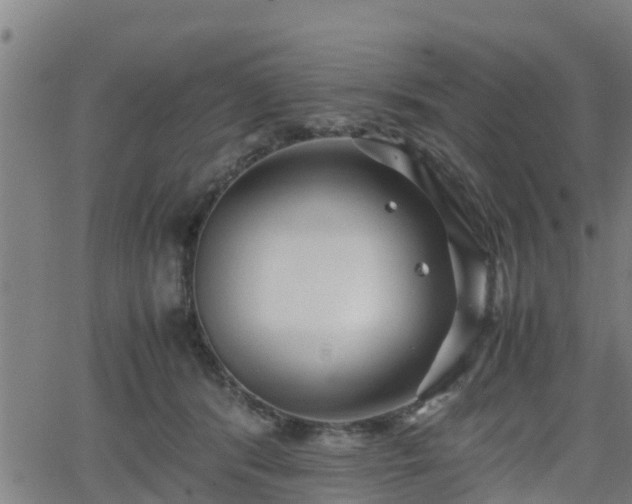 X0000062130416200512161157