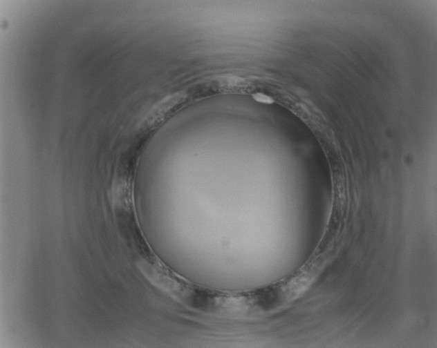 X0000062130419200512161156