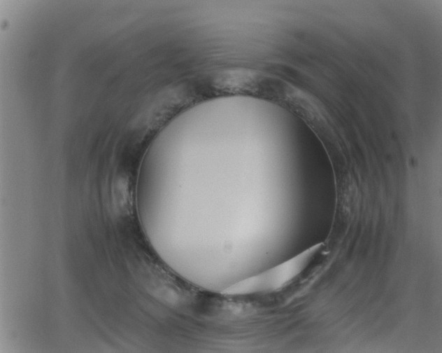 X0000062130420200512161156