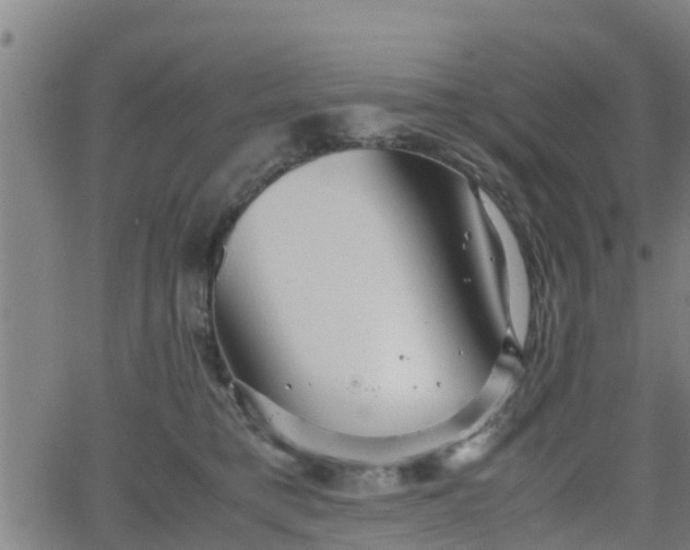 X0000062130421200512161156