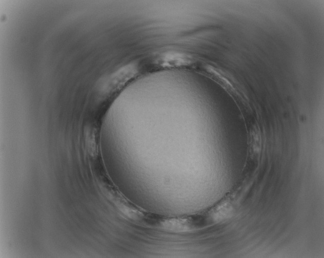 X0000062130422200512161156