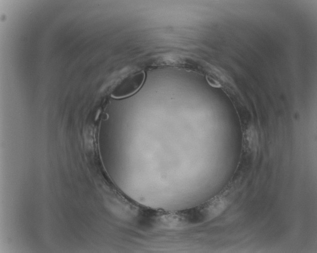 X0000062130423200512161156