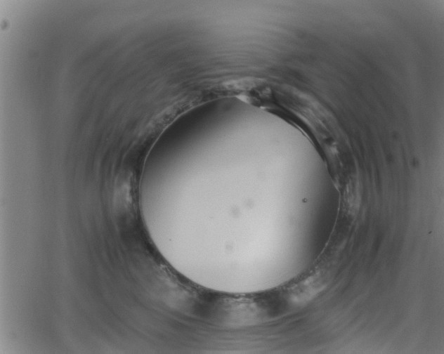 X0000062130424200512161156