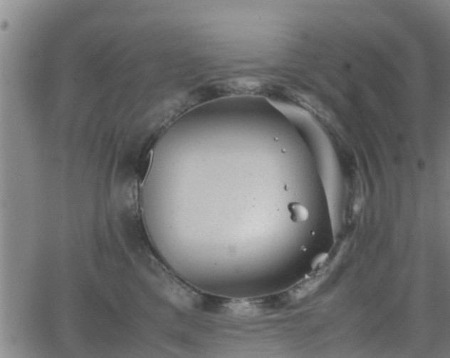 X0000062130425200512161156