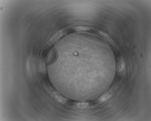 X0000062130426200512161156