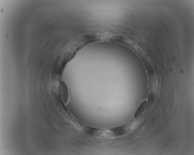 X0000062130427200512161156