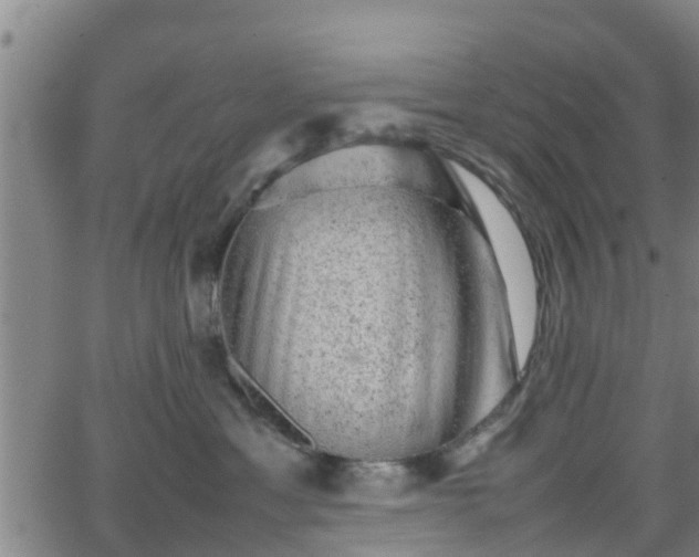 X0000062130429200512161156