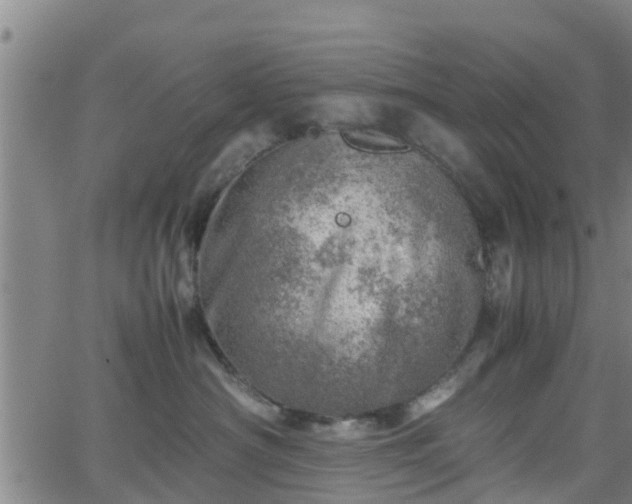 X0000062130430200512161156