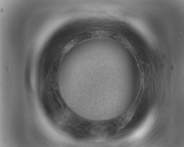 X0000062130431200512161156