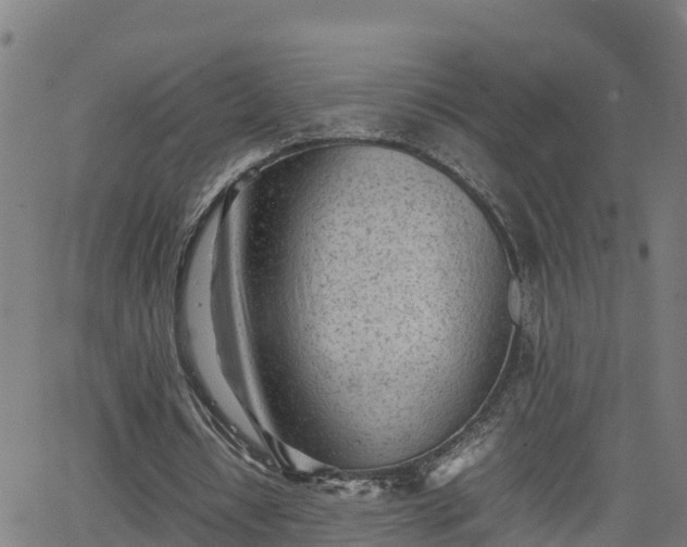 X0000062130434200512161155