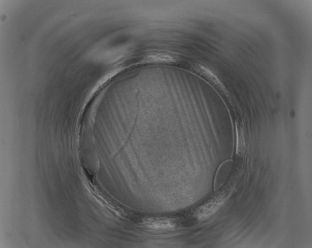 X0000062130435200512161156