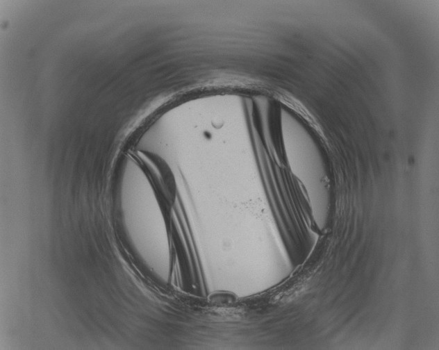 X0000062130436200512161156