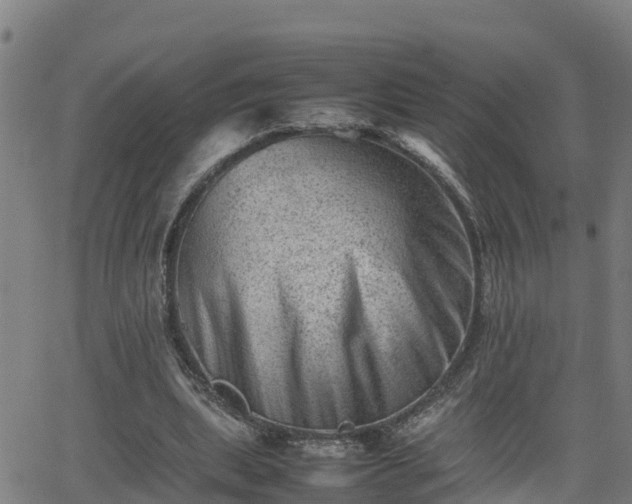 X0000062130439200512161156