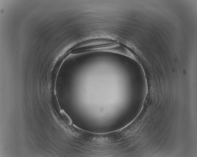 X0000062130440200512161156