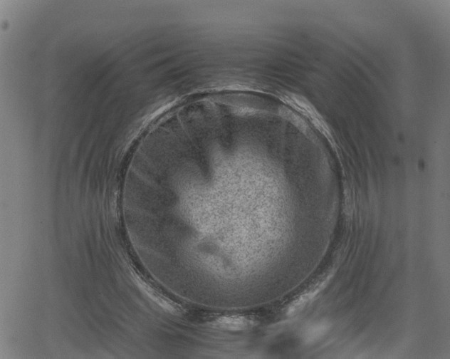 X0000062130441200512161156