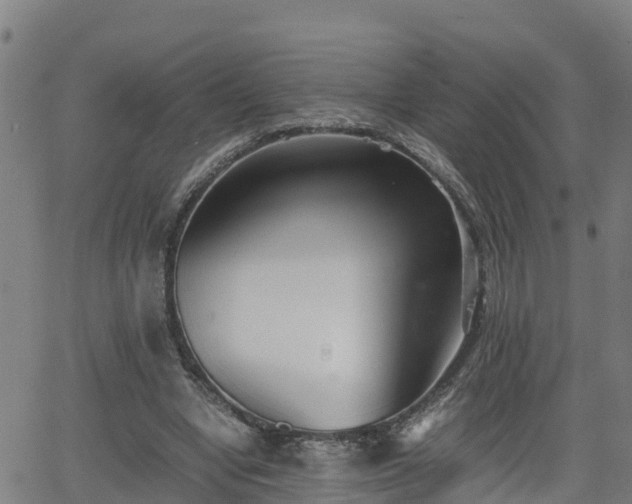 X0000062130442200512161156