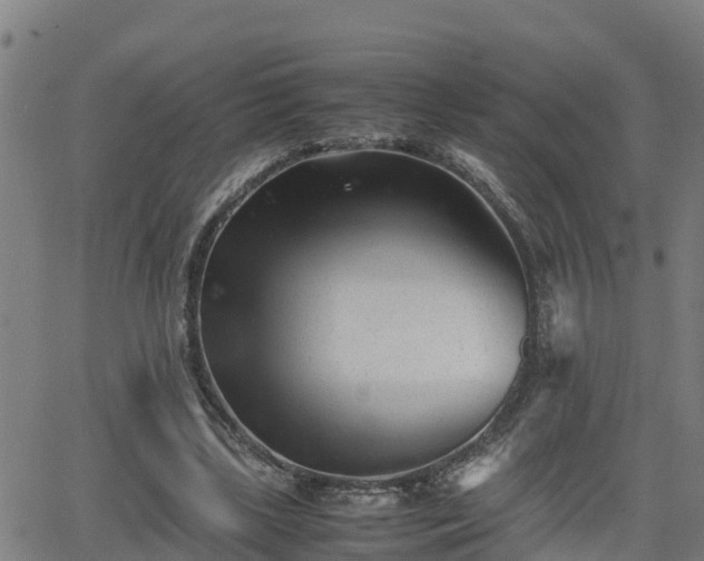 X0000062130443200512161156