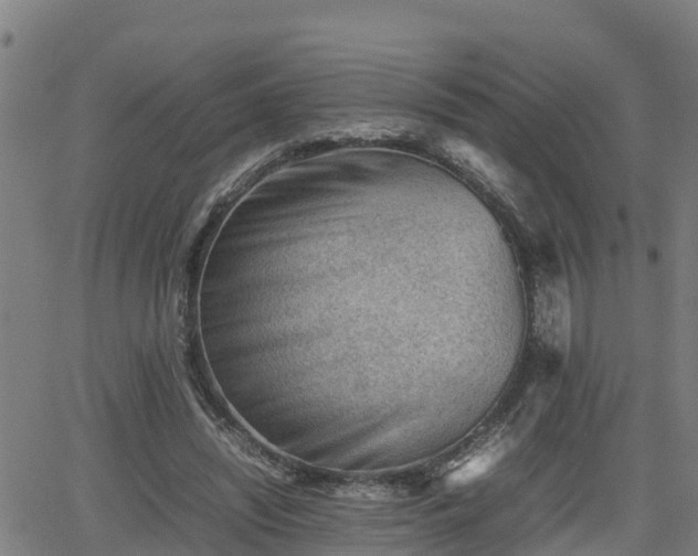 X0000062130444200512161156