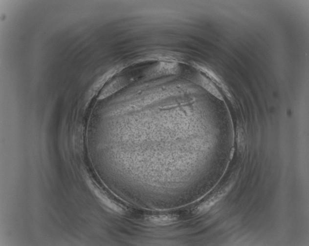 X0000062130445200512161156