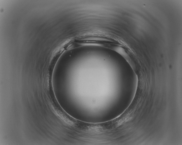 X0000062130446200512161156