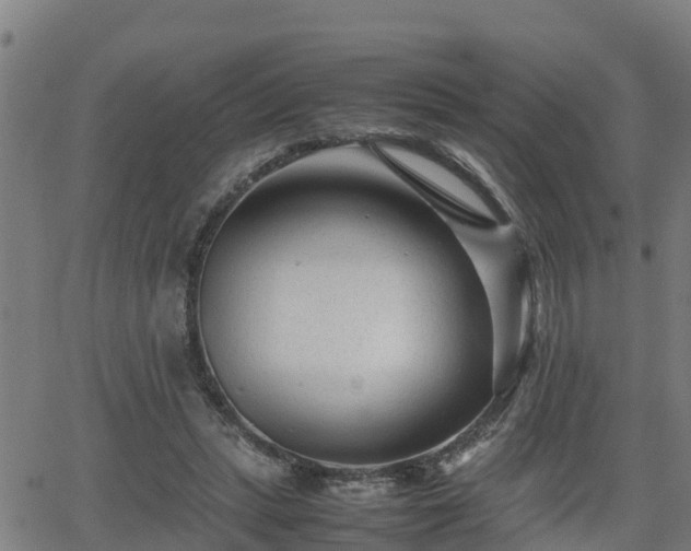 X0000062130447200512161156