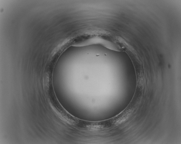 X0000062130448200512161156