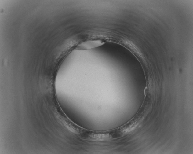 X0000062130449200512161156