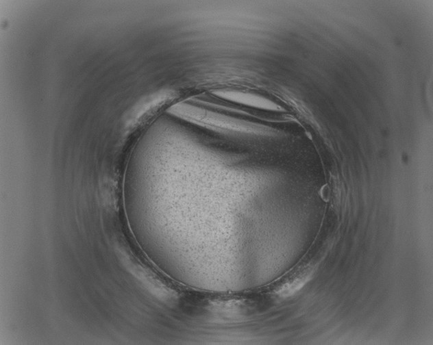 X0000062130450200512161156