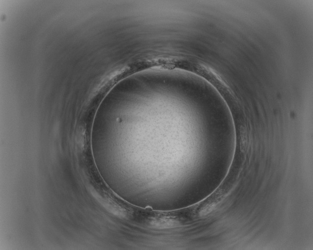 X0000062130451200512161156