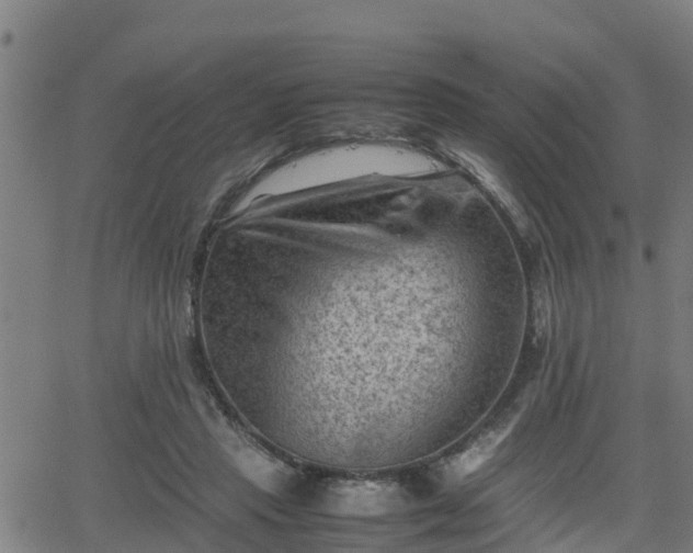 X0000062130453200512161156