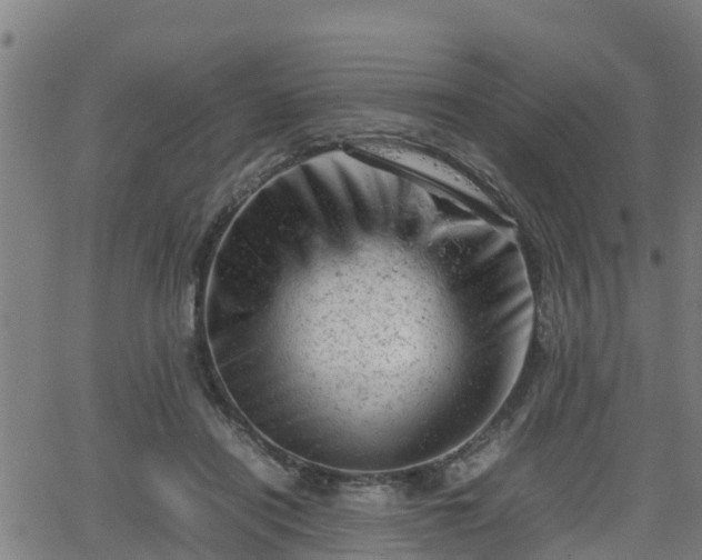 X0000062130454200512161156