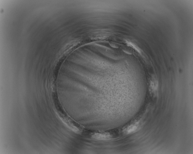 X0000062130455200512161156