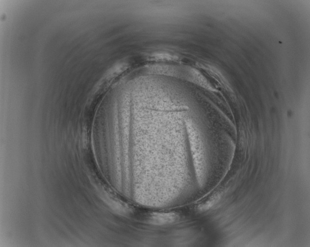 X0000062130457200512161156