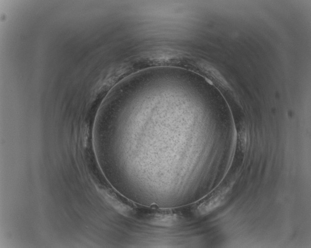 X0000062130458200512161156