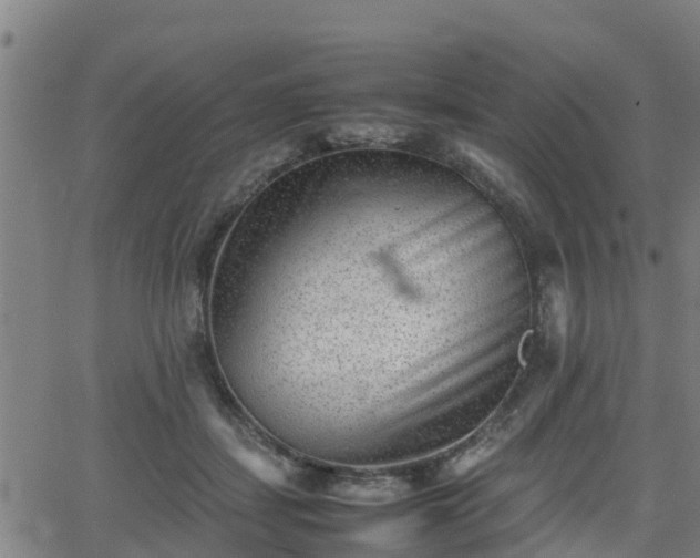 X0000062130459200512161156