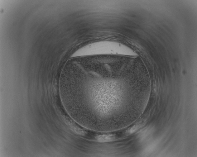 X0000062130461200512161156