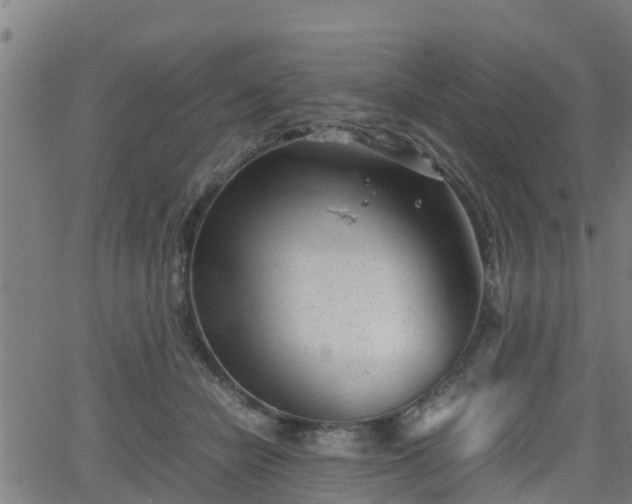 X0000062130462200512161156