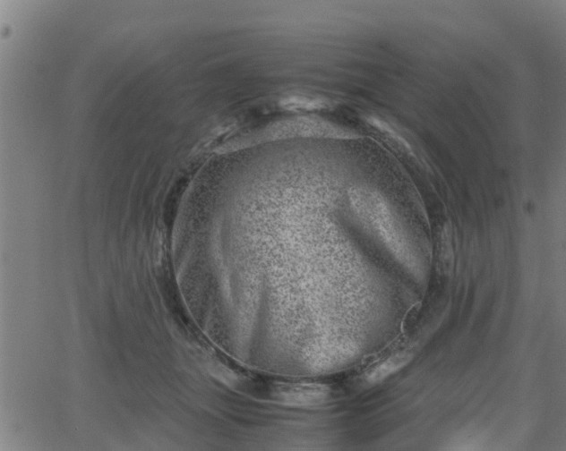 X0000062130463200512161156