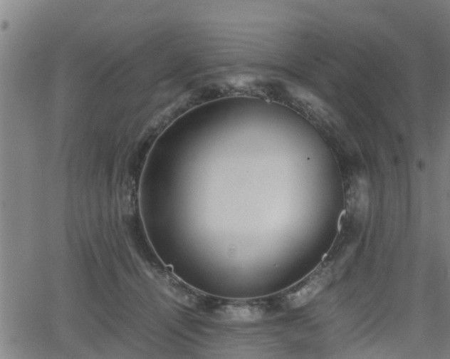 X0000062130464200512161156