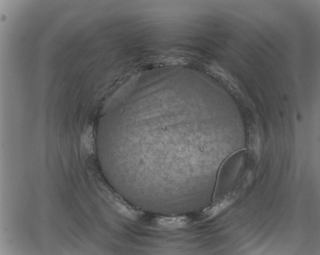 X0000062130465200512161156