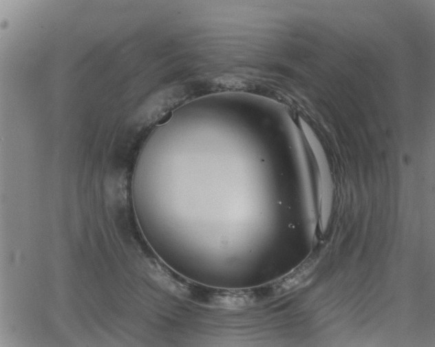 X0000062130466200512161156