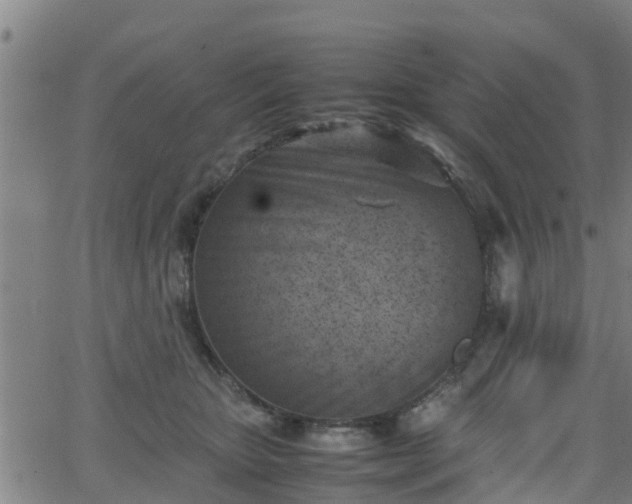 X0000062130467200512161156