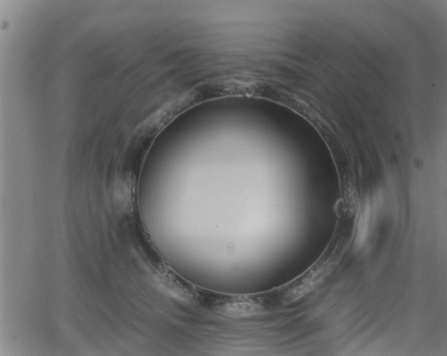 X0000062130468200512161156