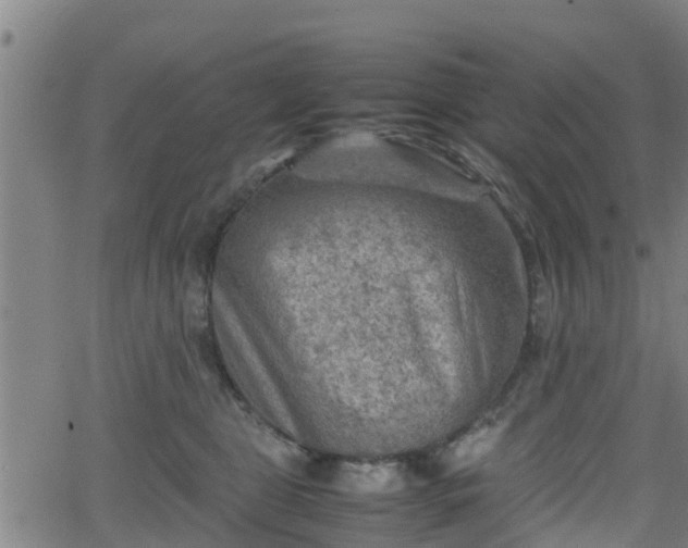 X0000062130469200512161156